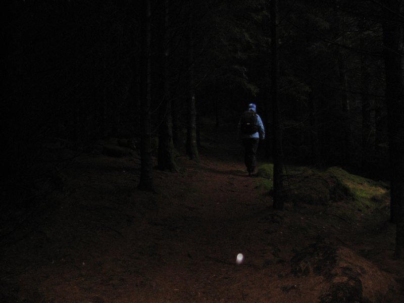 gjennomskog.jpg