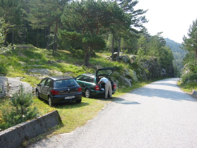 Photograph