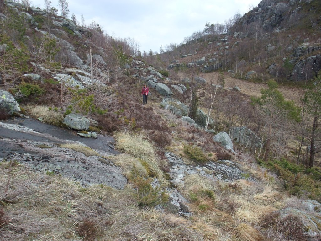 sbegynneroppstigningetilvrefjellet.jpg